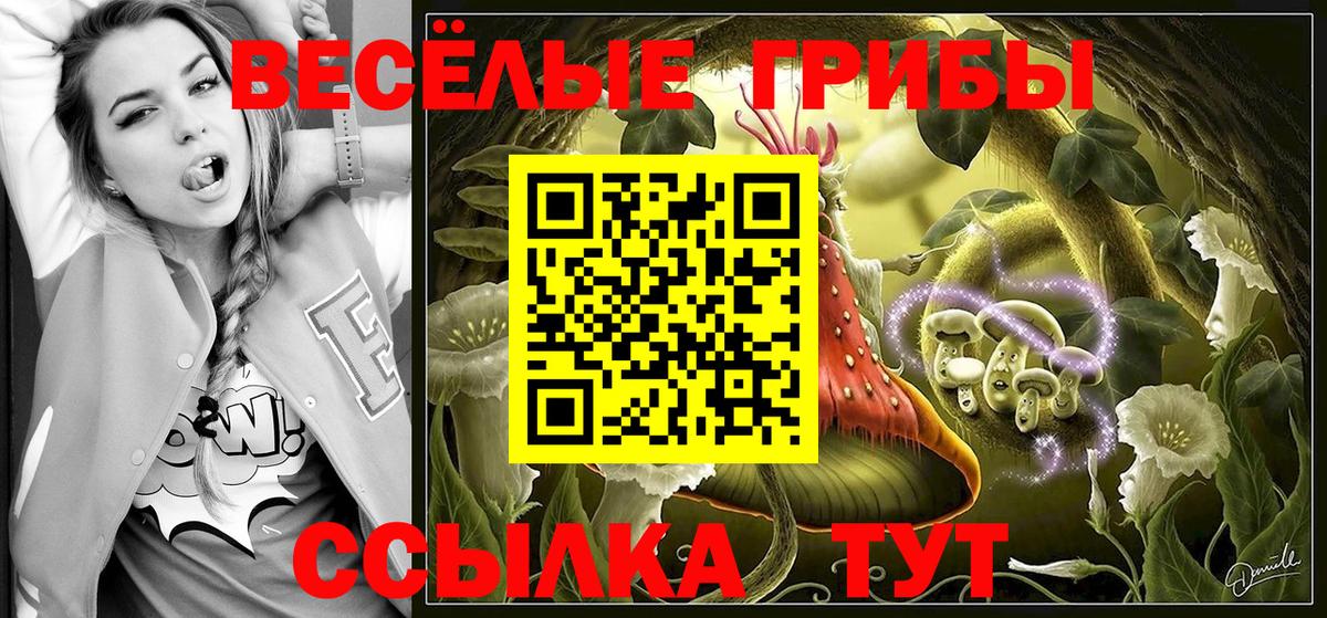 Псилоцибиновые грибы MAGIC MUSHROOMS Мичуринск