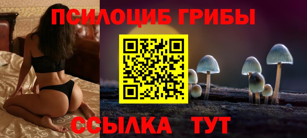 Мичуринск  Псилоцибиновые грибы Psilocybe  Вход с VPN 